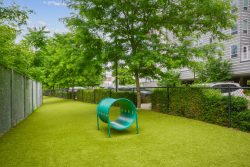 Gated dog park with dog tunnel and view of residences